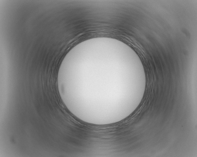 X0000116610425200912111005