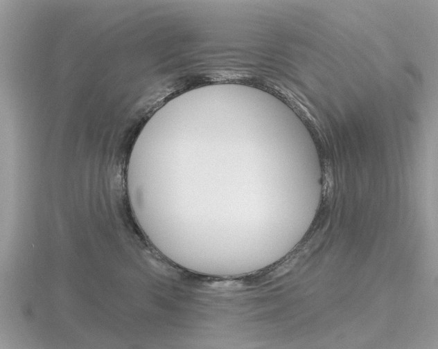X0000116610426200912111005