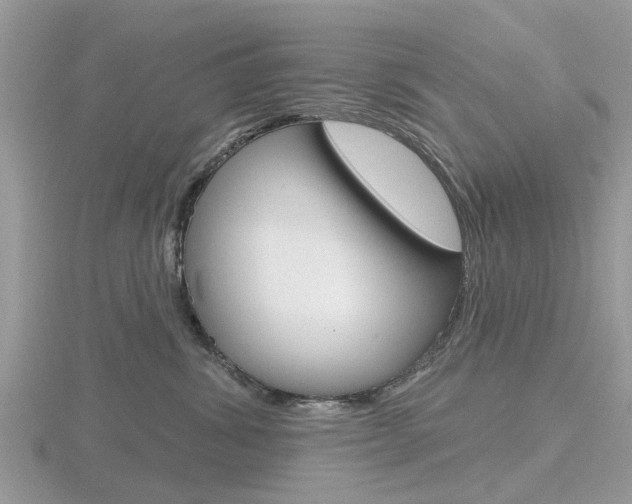 X0000116610428200912111004