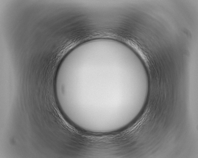 X0000116610433200912111004