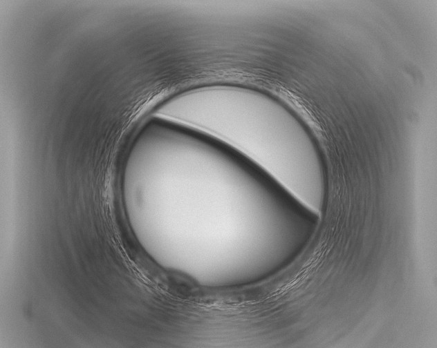 X0000116610434200912111004