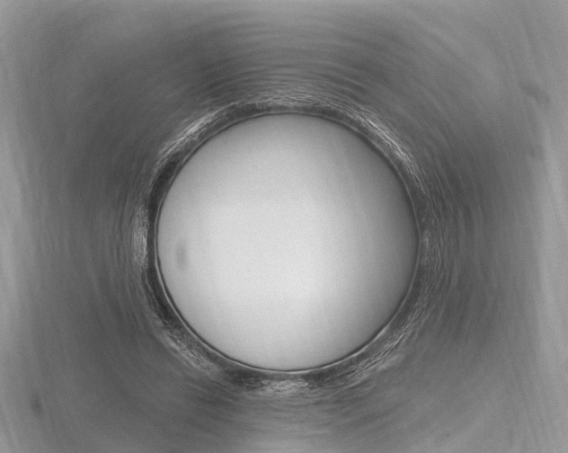 X0000116610446200912111004