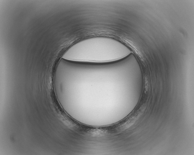 X0000116610453200912111004