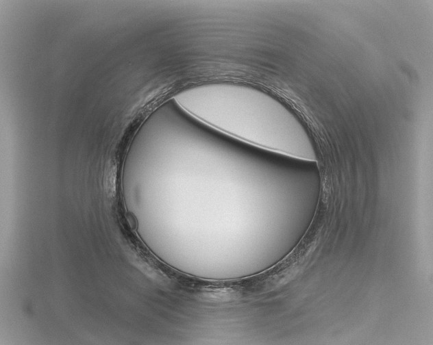 X0000116610454200912111004