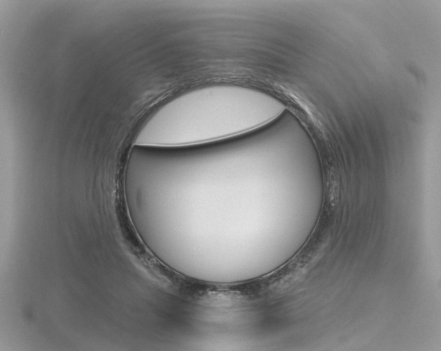 X0000116610455200912111004
