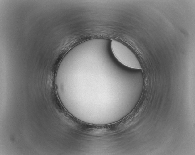 X0000116610458200912111004