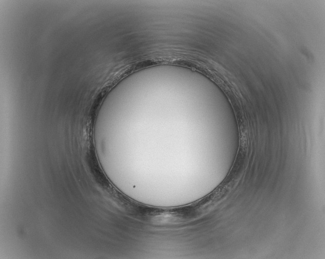 X0000116610460200912111004