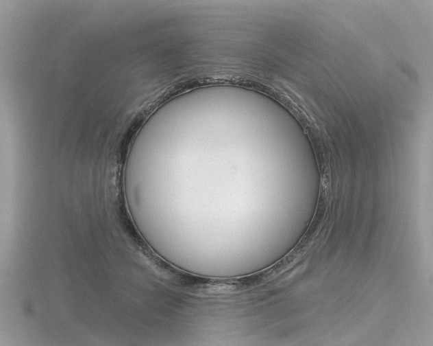 X0000116610462200912111004