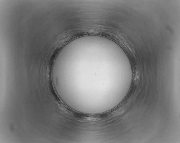 X0000116610466200912111004