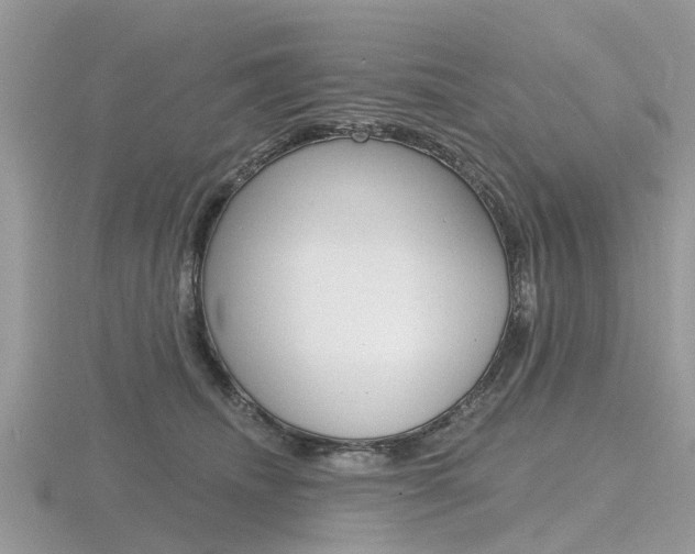 X0000116610468200912111004