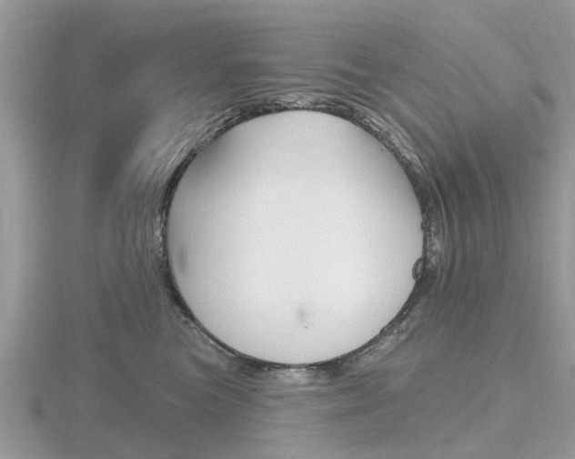 X0000116610473200912111004