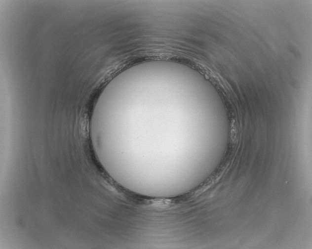 X0000116610474200912111004