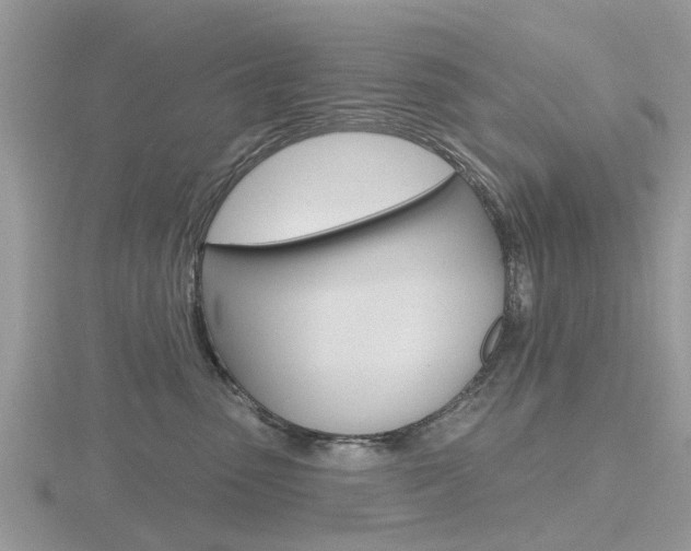 X0000116610475200912111004