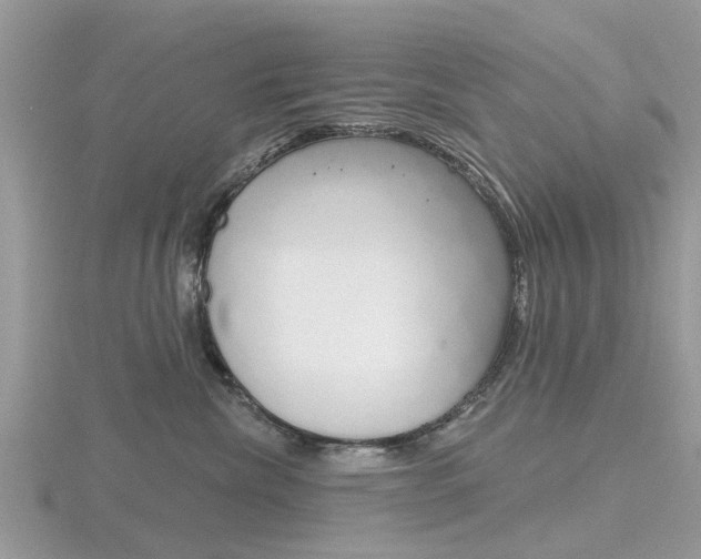 X0000116610476200912111004