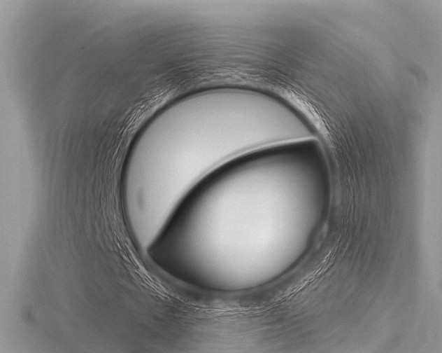 X0000116610481200912111004