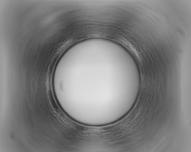 X0000116610482200912111004