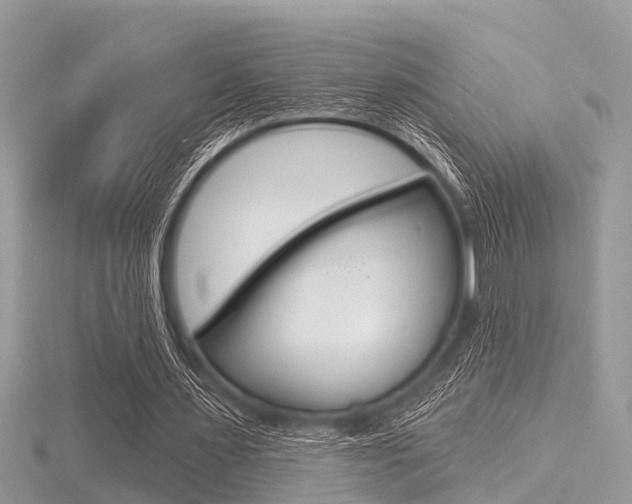 X0000116610483200912111004