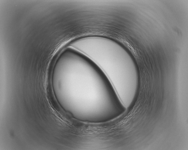 X0000116610484200912111004