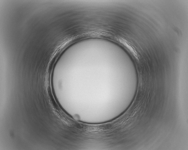 X0000116610486200912111004