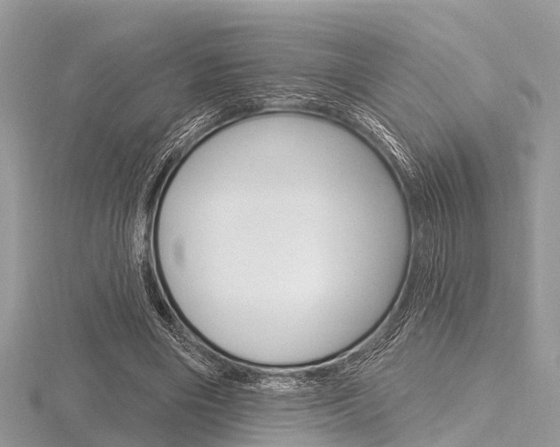 X0000116610490200912111004