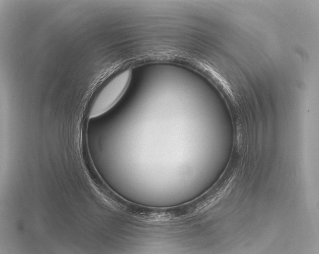 X0000116610493200912111004