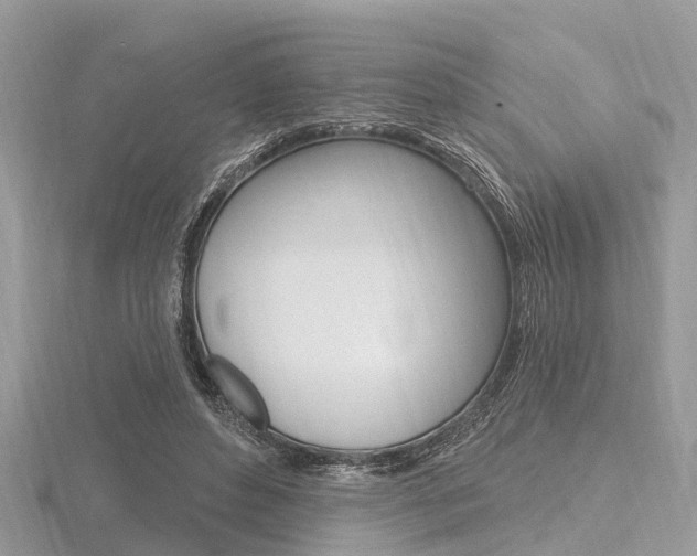 X0000116610496200912111004