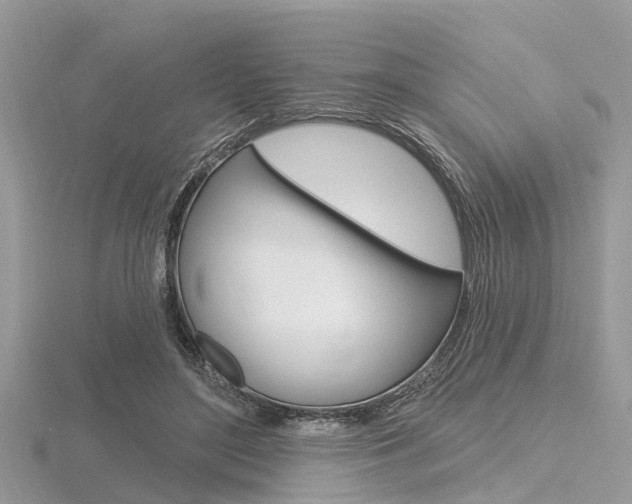 X0000116610500200912111004
