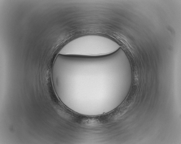 X0000116610503200912111004