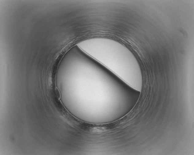 X0000116610508200912111003