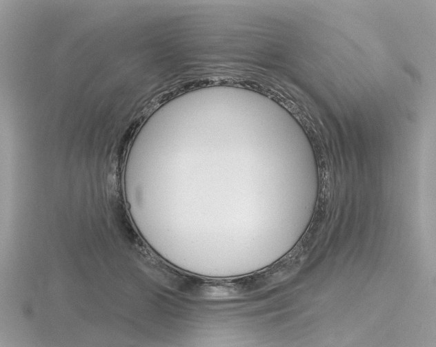 X0000116610510200912111003