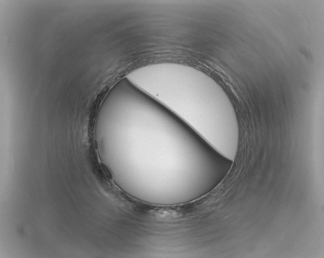 X0000116610512200912111003
