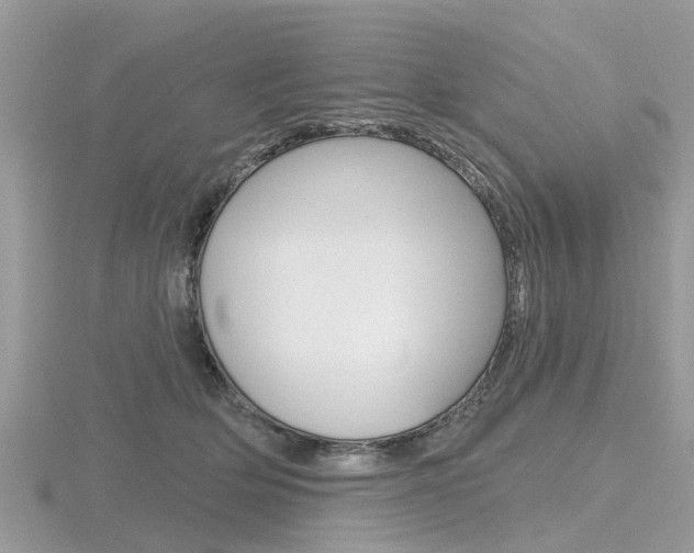 X0000116610514200912111003