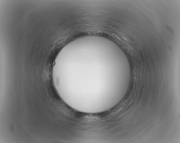 X0000116610515200912111003