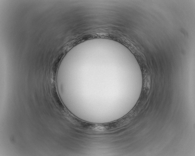 X0000116610518200912111003