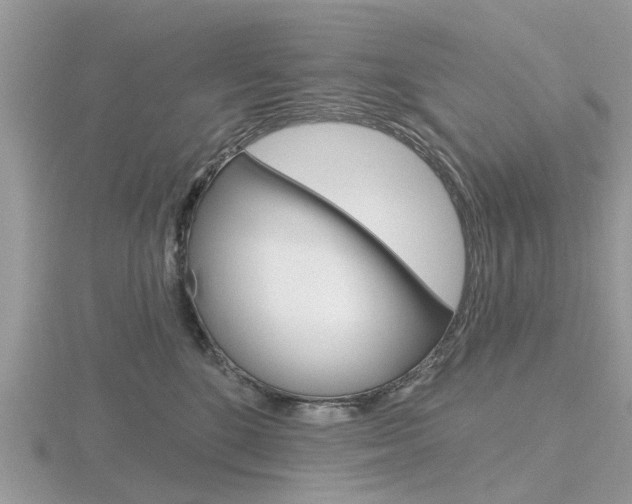 X0000116610520200912111003