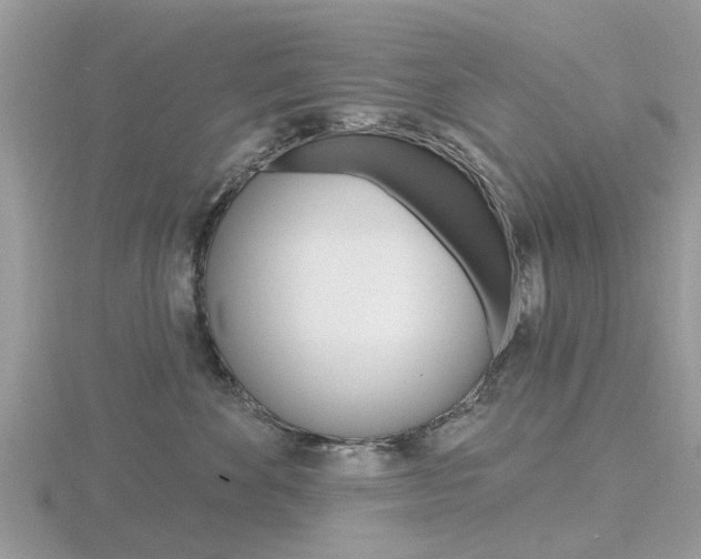 X0000116610524200912111003