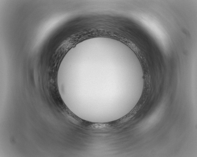 X0000116610526200912111003