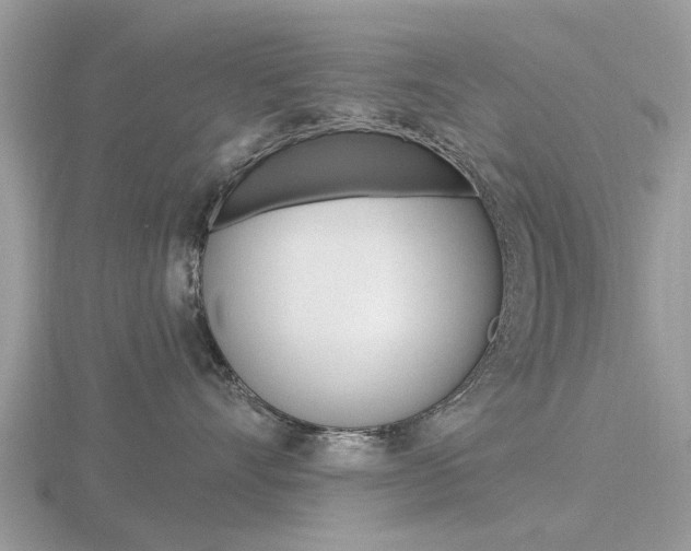 X0000116610528200912111003