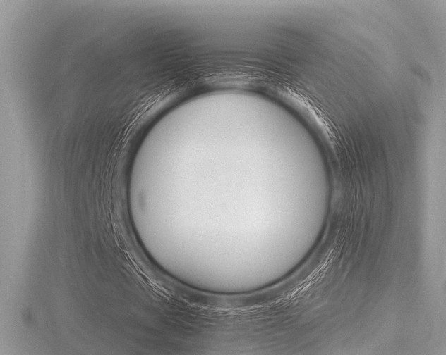 X0000116610529200912111003