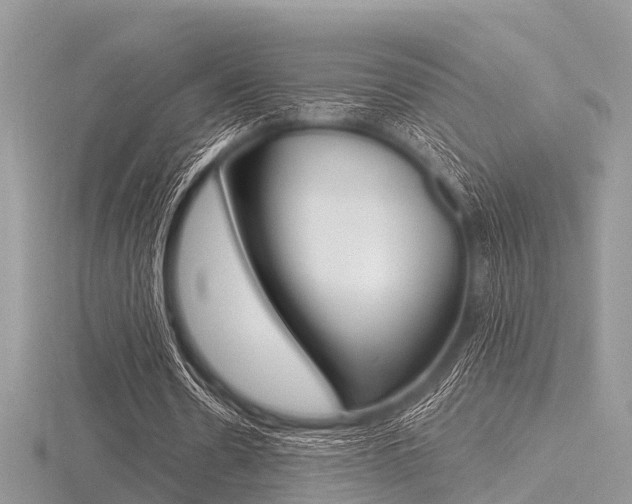 X0000116610530200912111003