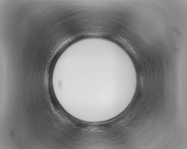 X0000116610534200912111003