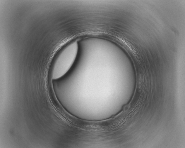 X0000116610535200912111003