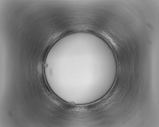X0000116610537200912111003
