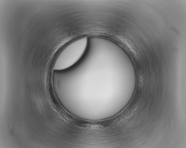 X0000116610539200912111003