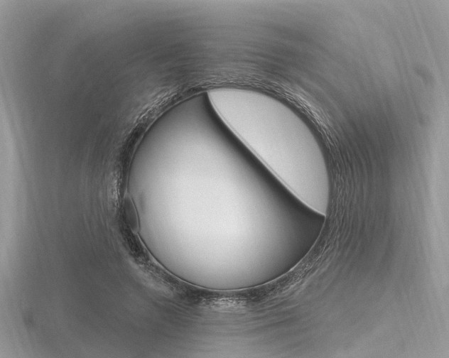 X0000116610546200912111003