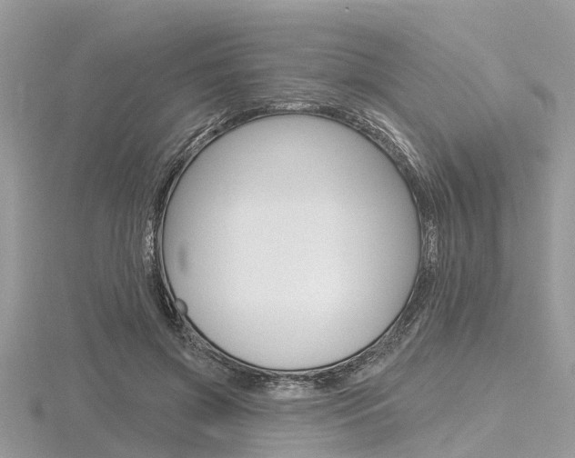 X0000116610549200912111003