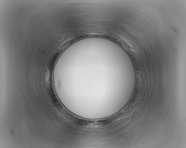 X0000116610550200912111003