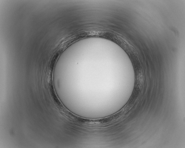 X0000116610554200912111003