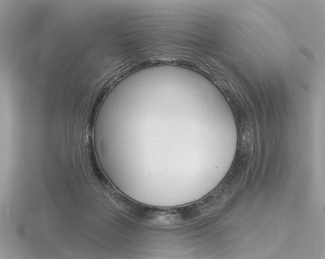 X0000116610555200912111003