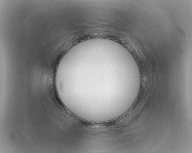 X0000116610561200912111003